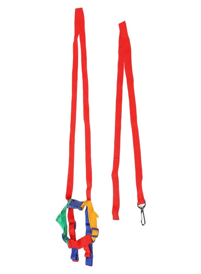 Denash Toddler Harness, Adjustable Baby Leash with Safety Straps, Kid Safety Leash Made of Polyester for Children in Crowded Places - Image 5